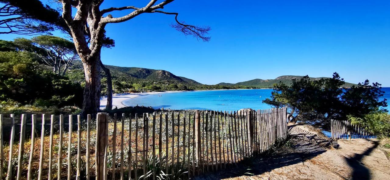 Résidence Belvedere De Palombaggia 4*